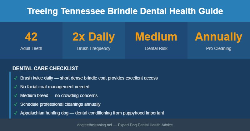 Treeing Tennessee Brindle dental health infographic