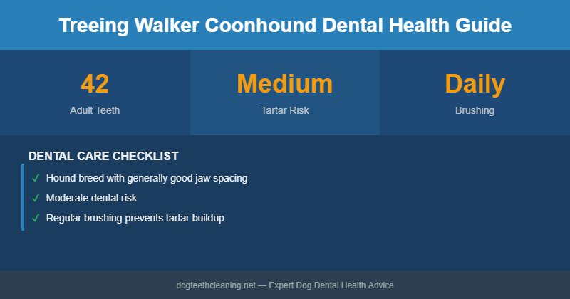 Treeing Walker Coonhound dental health infographic