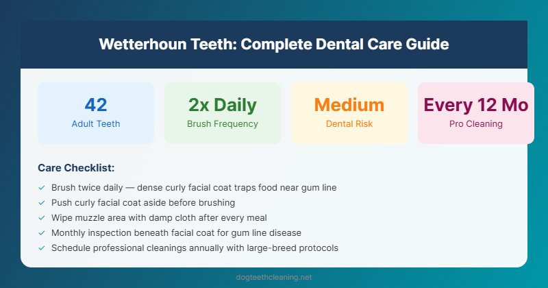 wetterhoun teeth dental care guide infographic