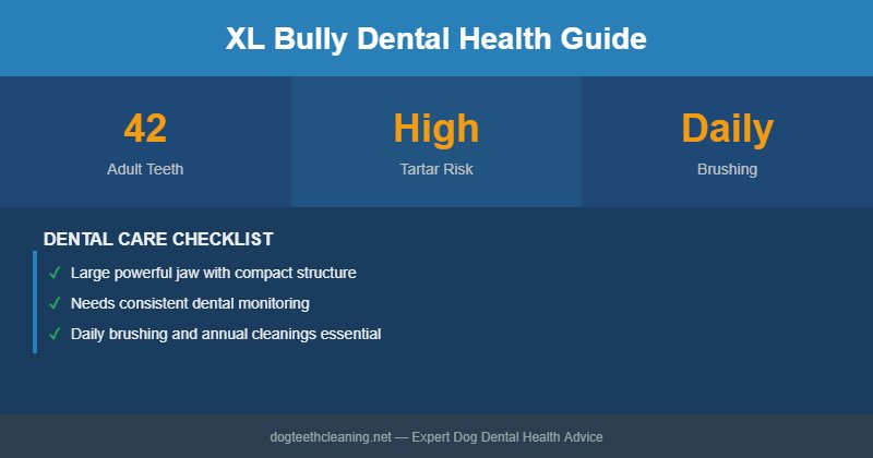 XL Bully dental health infographic